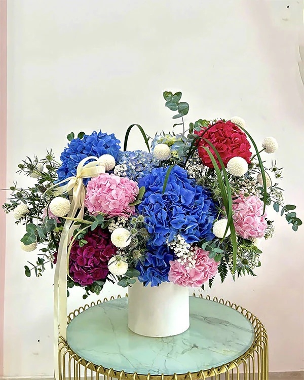 Lãng Hoa Khai Trương ANF7