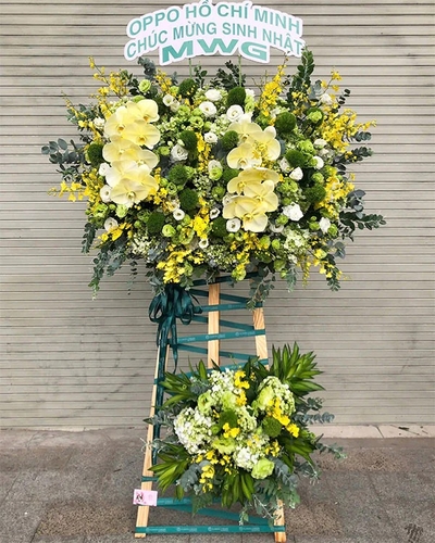 Kệ Hoa Khai Trương ANF14