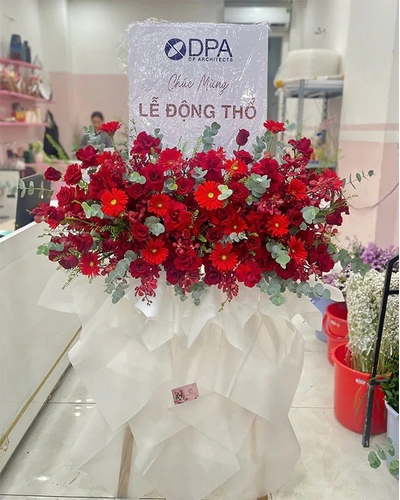 Kệ Hoa Khai Trương ANF25