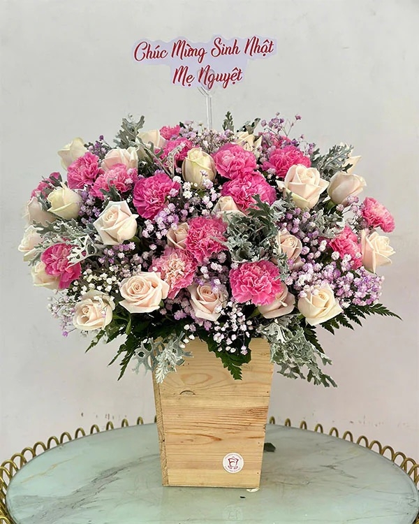 Lãng Hoa Chúc Mừng ANF19