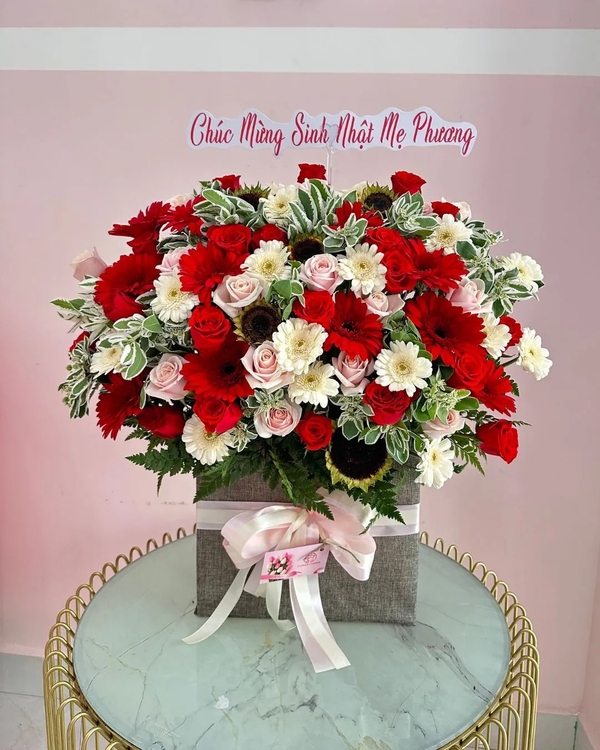 Lãng Hoa Chúc Mừng ANF25