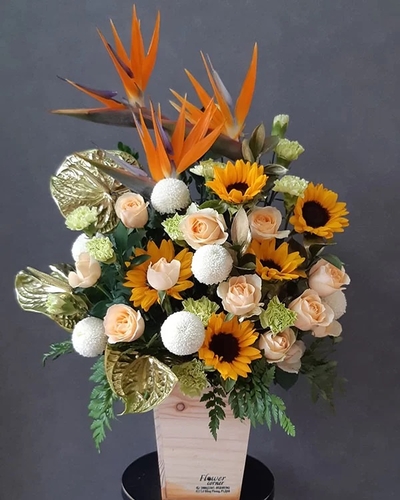 Lãng Hoa Chúc Mừng ANF30