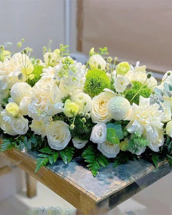 Hoa Hội Nghị ANF6