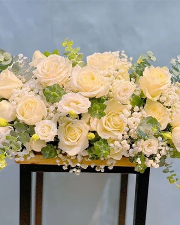 Hoa Hội Nghị ANF7