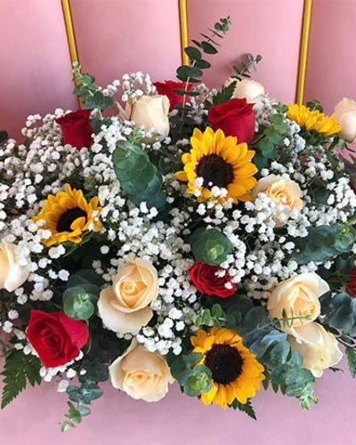 Hoa Hội Nghị ANF1