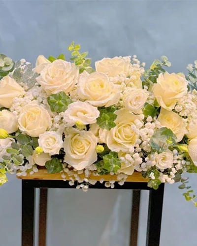 Hoa Hội Nghị ANF7